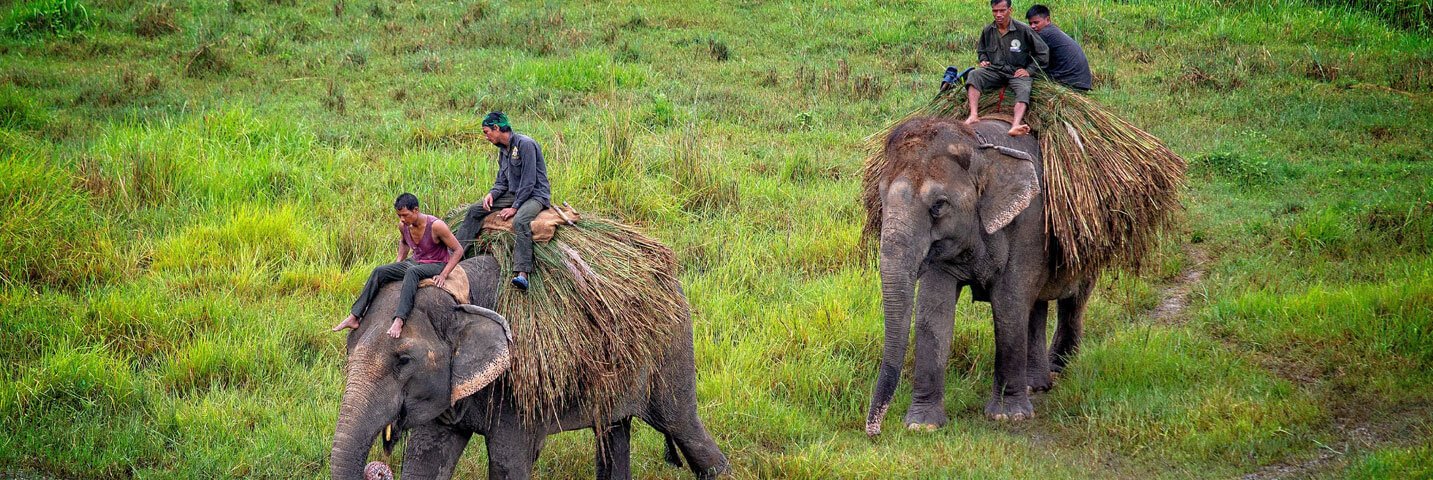 chitwan-jungle-safari